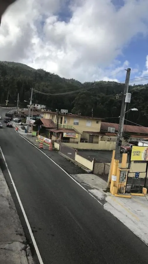 Los Monchis De Guavate Inn 0*, Cayey 푸에르토리코